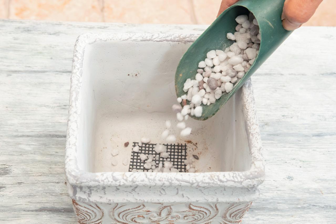 人気ガーデナー土谷ますみさんが作り方を伝授【小さなアジサイの寄せ植え】同系色でまとめてやさしげな印象に（画像8）