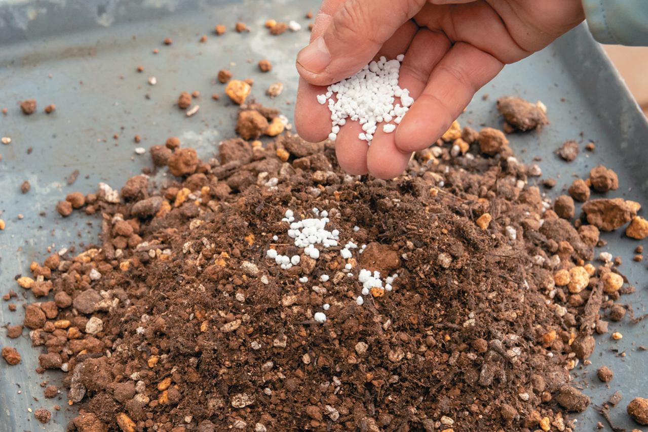 人気ガーデナー土谷ますみさんが作り方を伝授【小さなアジサイの寄せ植え】同系色でまとめてやさしげな印象に（画像9）