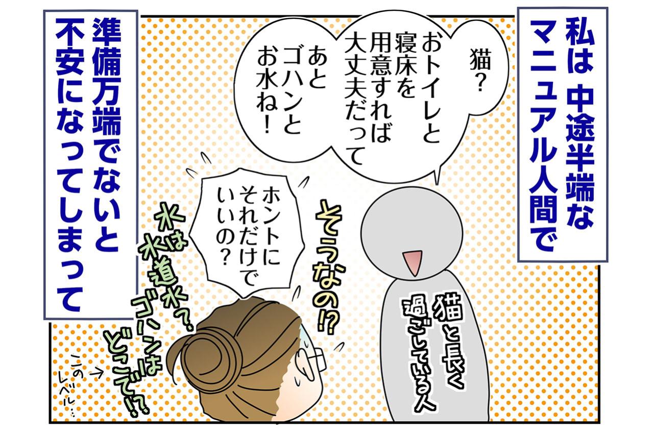 【マンガ・老猫日誌＃72】桃姐を迎える準備〜思い出の老猫日誌・桃姐と小論