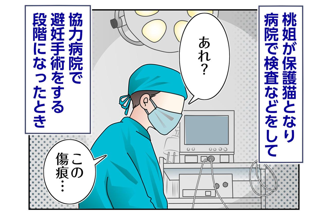【マンガ・老猫日誌＃70】人と長く暮らしてきたのかも〜思い出の老猫日誌・桃姐と小論