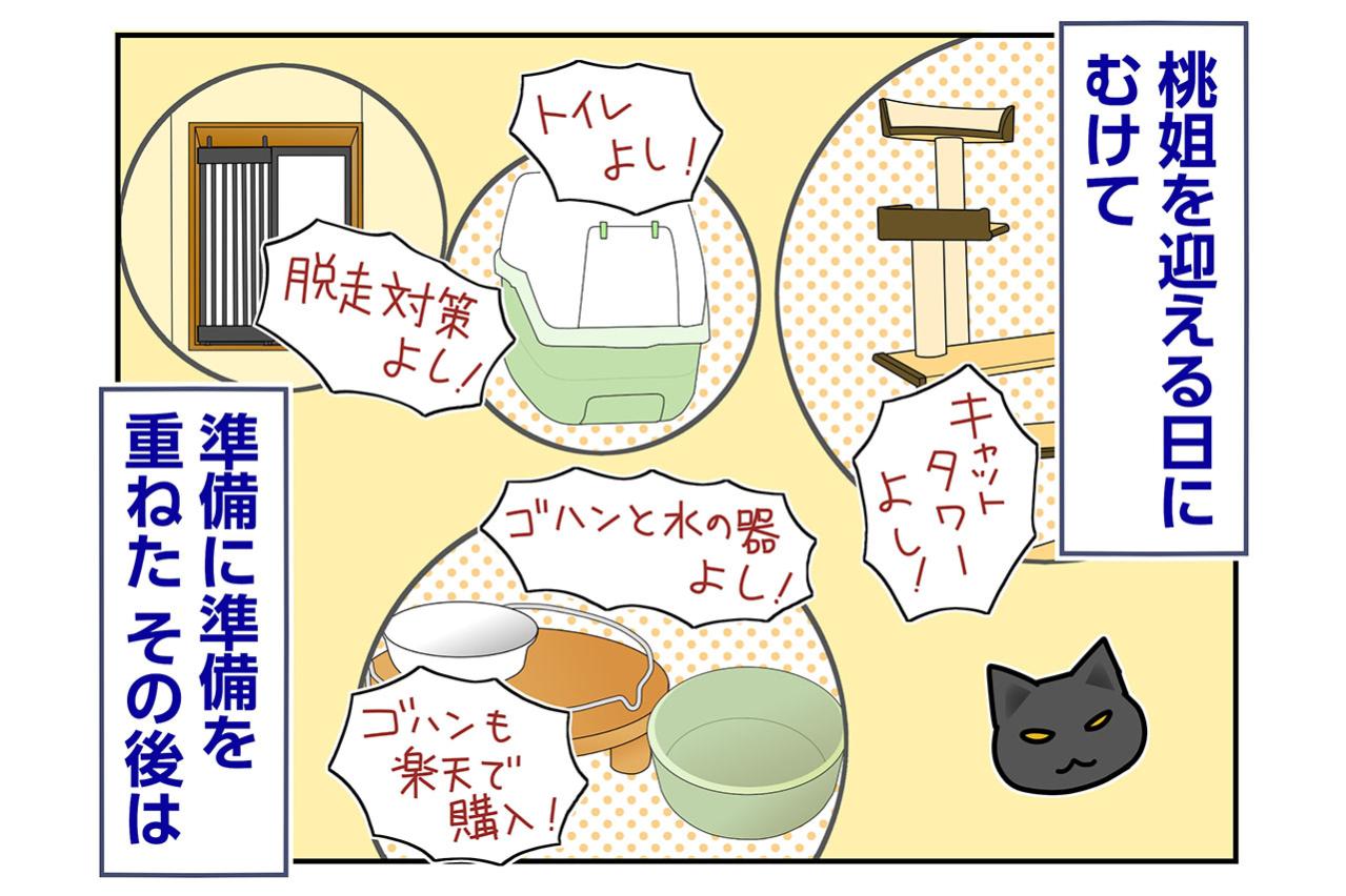 【マンガ・老猫日誌＃73】保護先のブログで桃姐は？〜思い出の老猫日誌・桃姐と小論