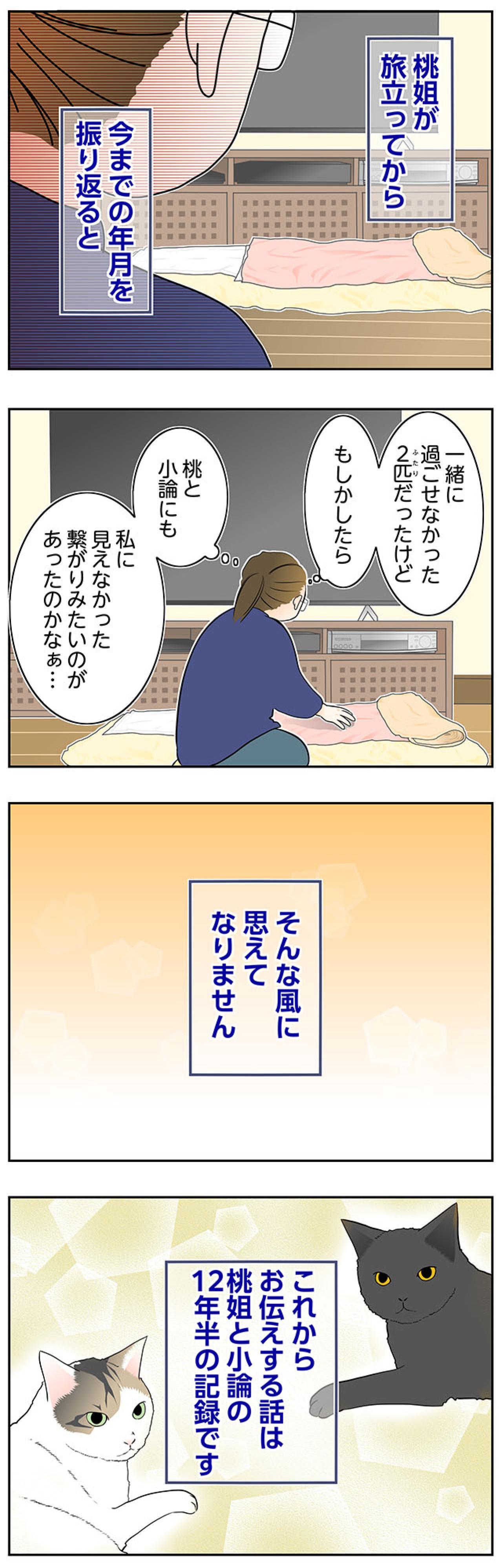 【マンガ・老猫日誌＃68】目には見えない猫たちの絆〜思い出の老猫日誌・桃姐と小論（画像3）