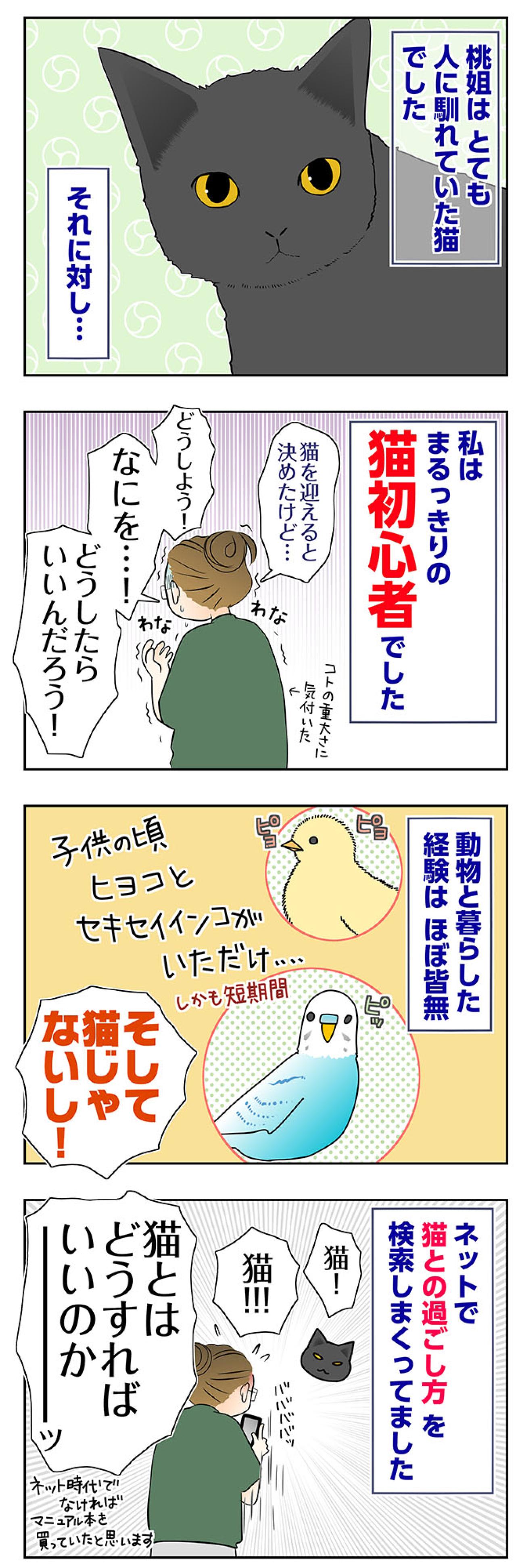 【マンガ・老猫日誌＃71】人になれてきた桃姐と猫初心者の私〜思い出の老猫日誌・桃姐と小論（画像2）