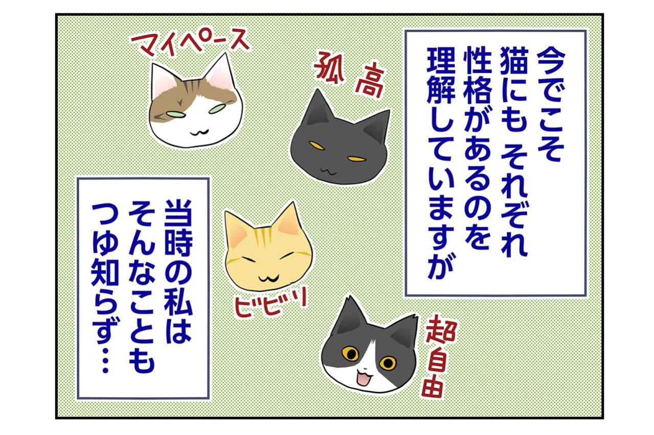 【マンガ・老猫日誌＃74】迎える前の桃姐の性格〜思い出の老猫日誌・桃姐と小論