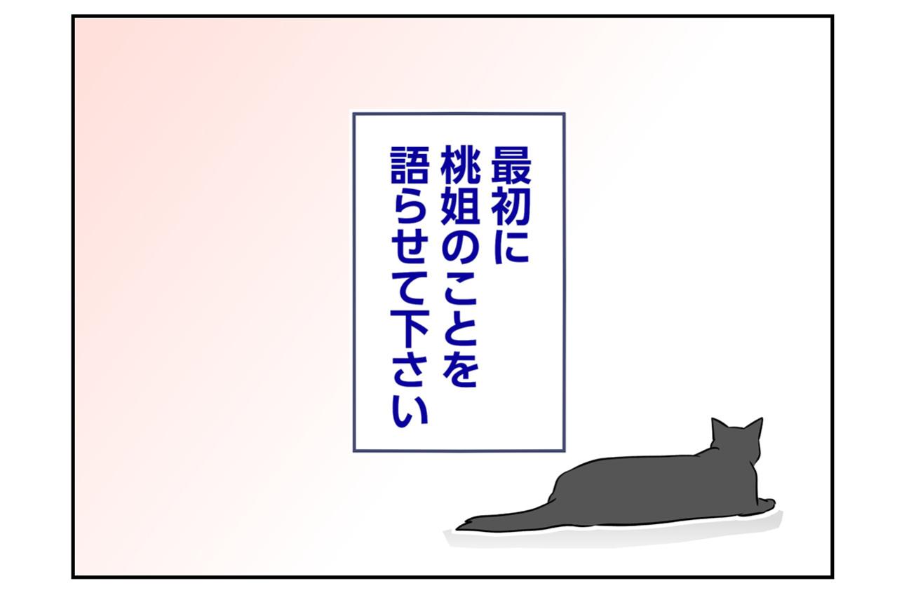 【マンガ・老猫日誌＃69】動物愛護センターでの出会い〜思い出の老猫日誌・桃姐と小論