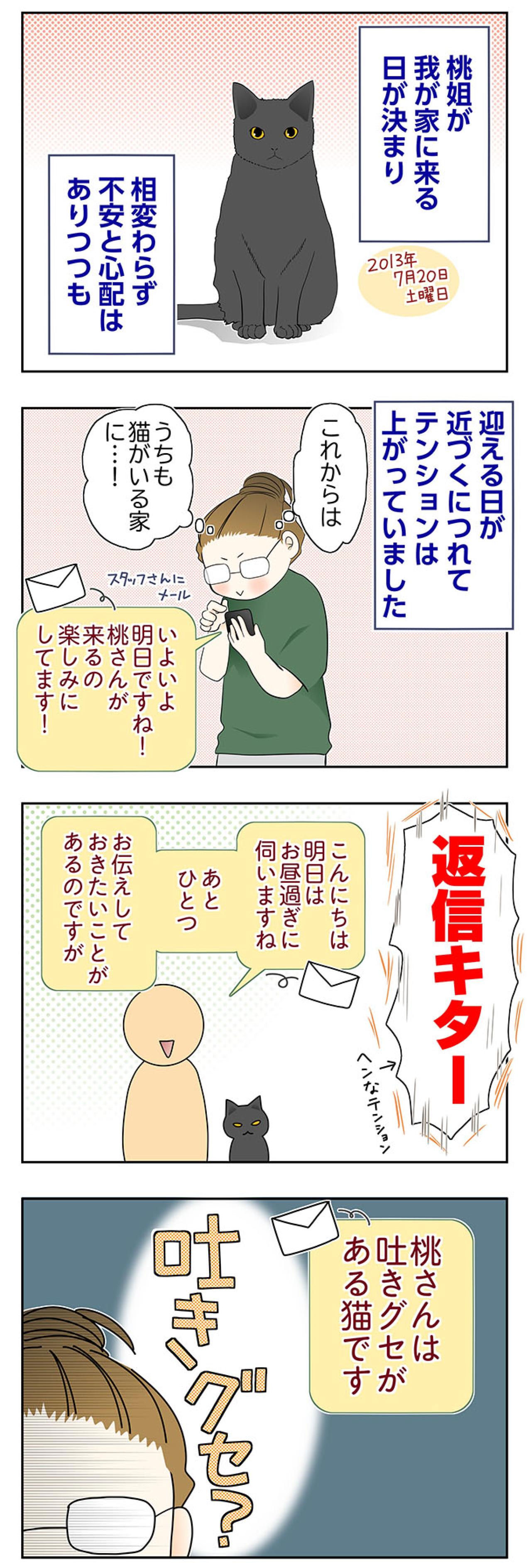 【マンガ・老猫日誌＃75】桃姐をお迎えする前日〜思い出の老猫日誌・桃姐と小論（画像2）