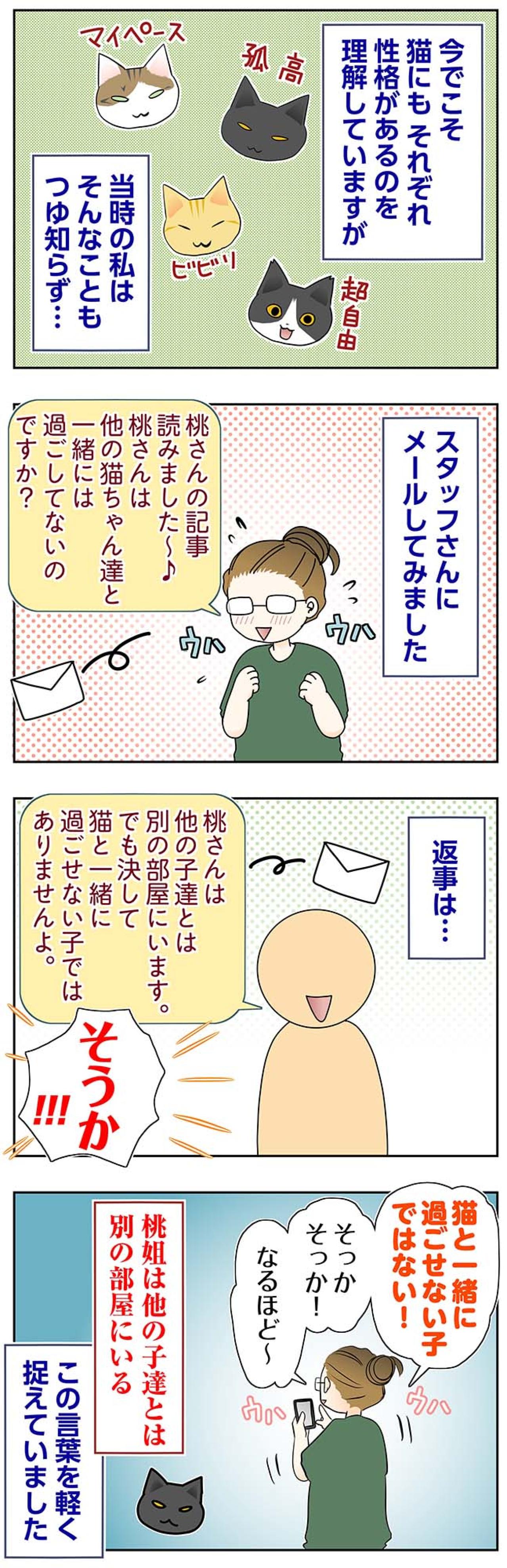 【マンガ・老猫日誌＃74】迎える前の桃姐の性格〜思い出の老猫日誌・桃姐と小論（画像2）