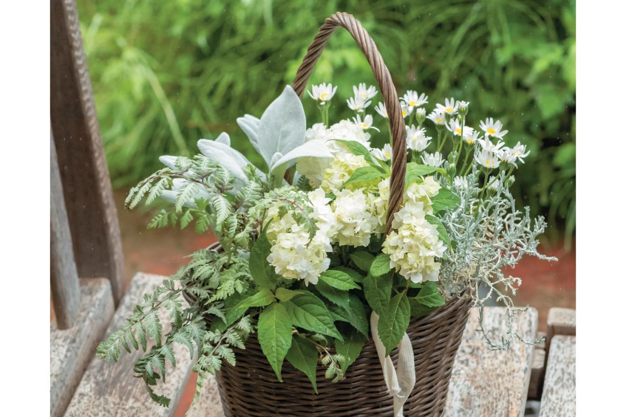 小さなアジサイのポット苗で作る！ホワイトカラーの【フラワーバスケット】プレゼントにも◎
