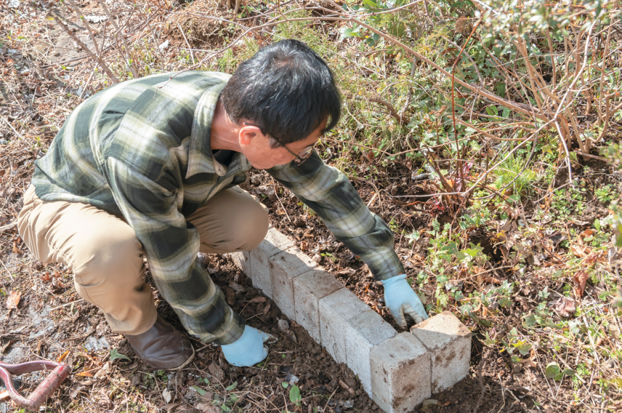 この春から育てたい！【ラベンダー】栽培を成功させる「温・湿・日」の三原則とは？（画像11）