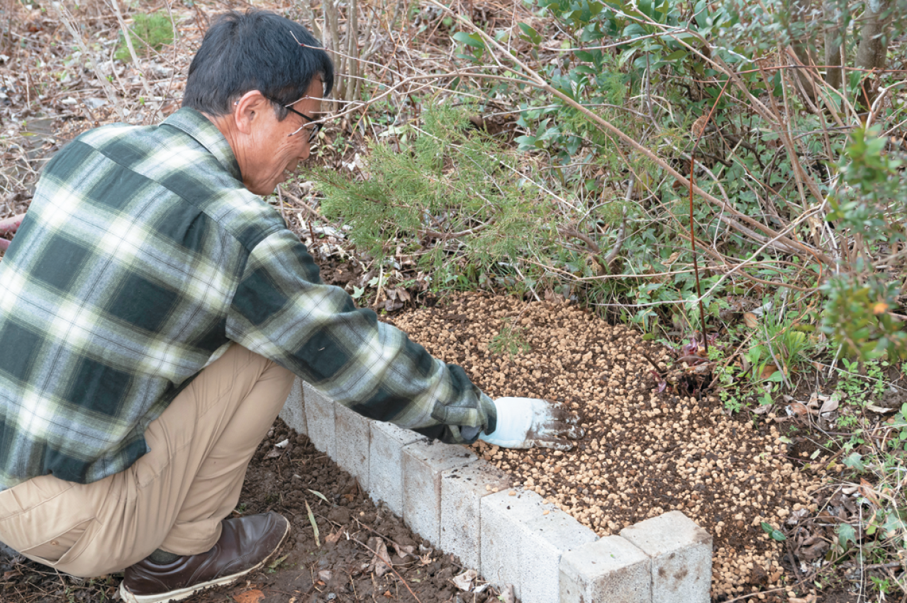 この春から育てたい！【ラベンダー】栽培を成功させる「温・湿・日」の三原則とは？（画像13）