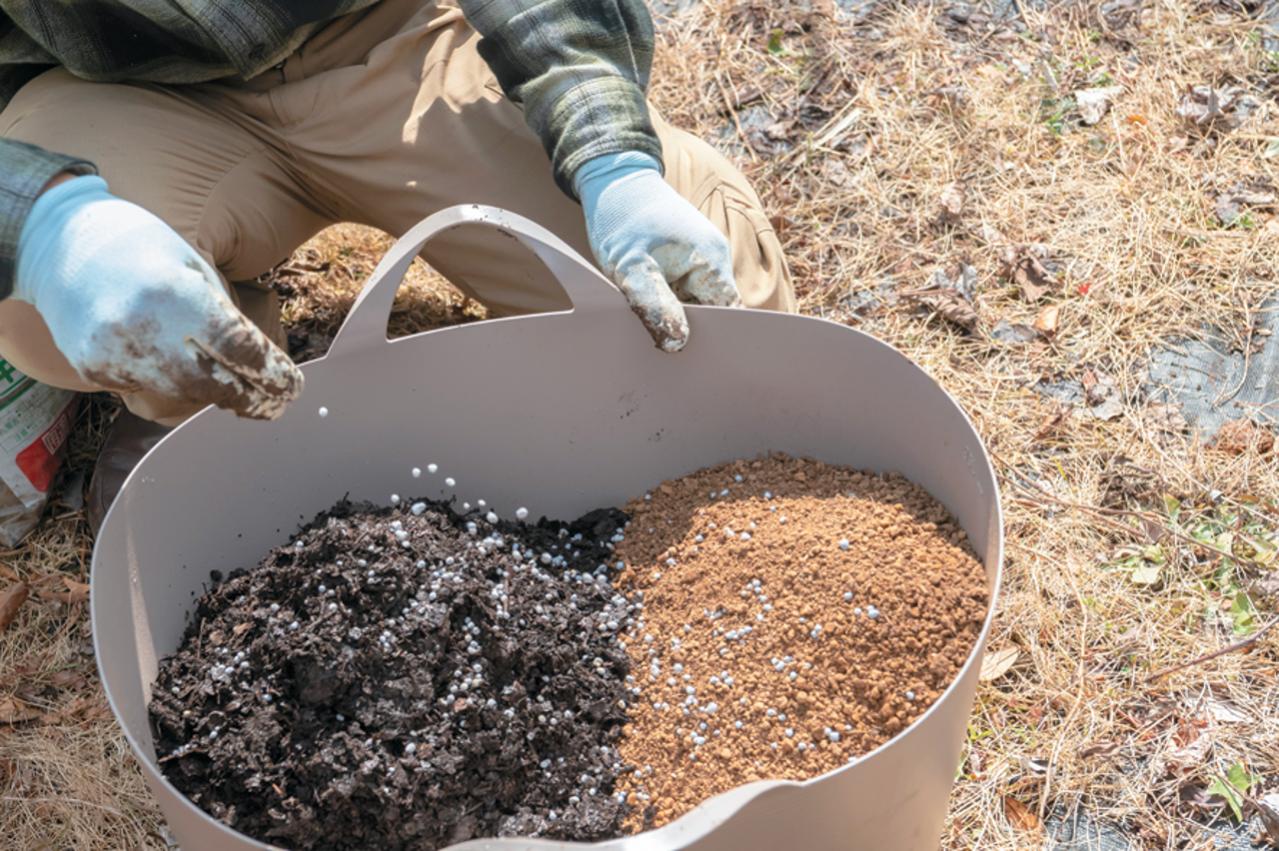 プロが伝授！【ラベンダー】栽培で失敗知らずの環境をつくるには？（画像15）