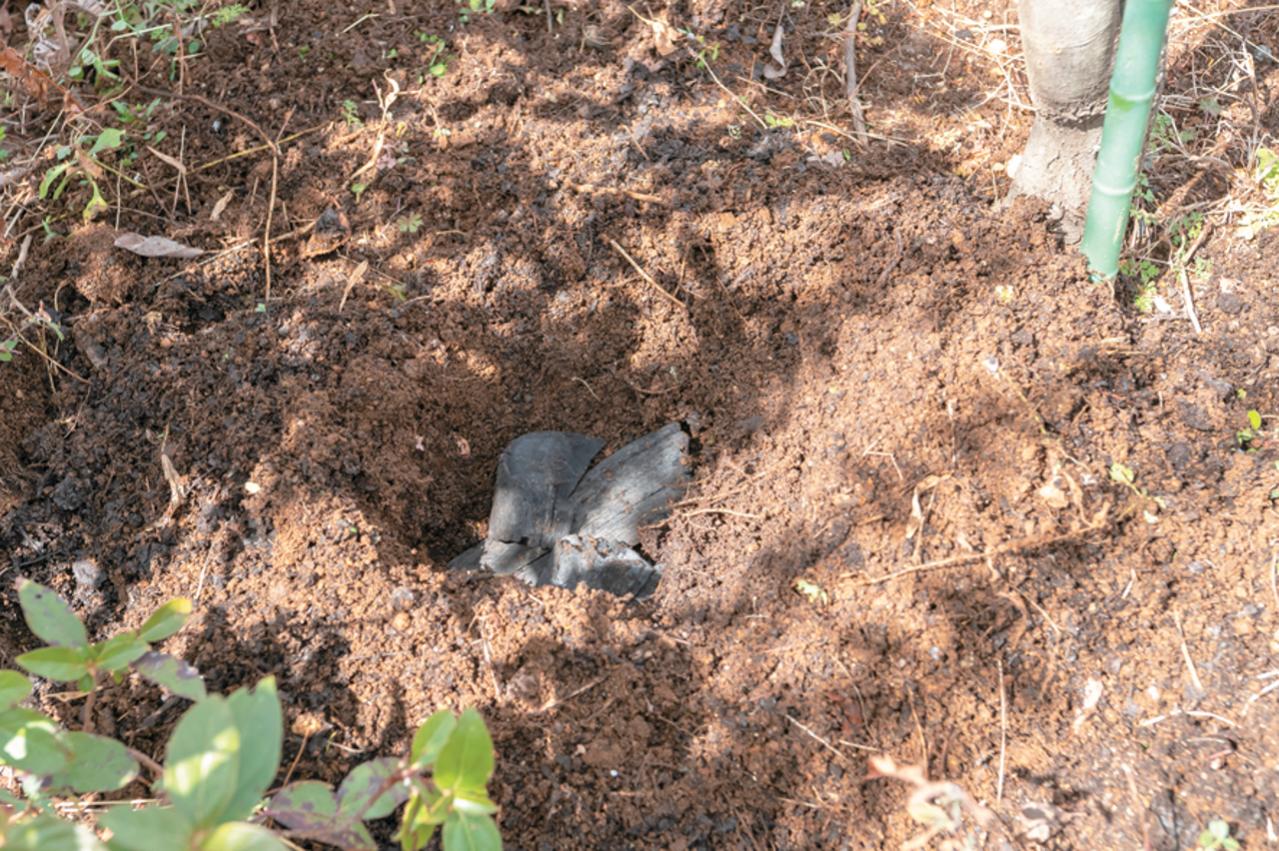 プロが伝授！【ラベンダー】栽培で失敗知らずの環境をつくるには？（画像10）