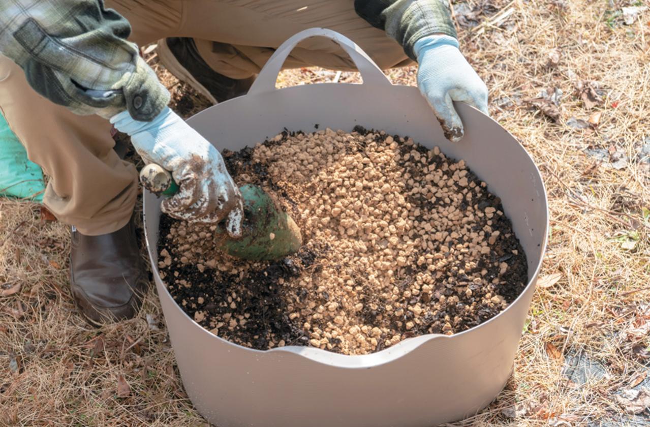 プロが伝授！【ラベンダー】栽培で失敗知らずの環境をつくるには？（画像16）