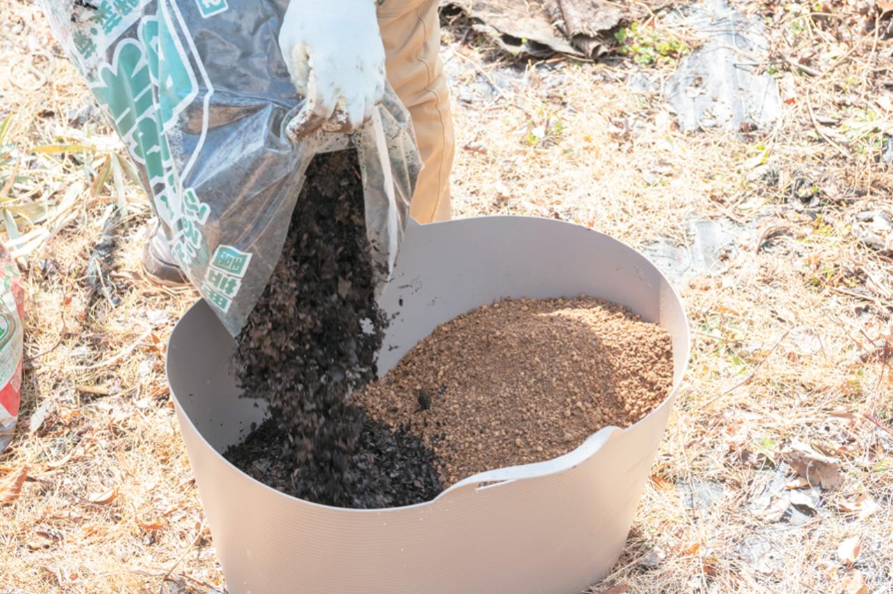 プロが伝授！【ラベンダー】栽培で失敗知らずの環境をつくるには？（画像14）