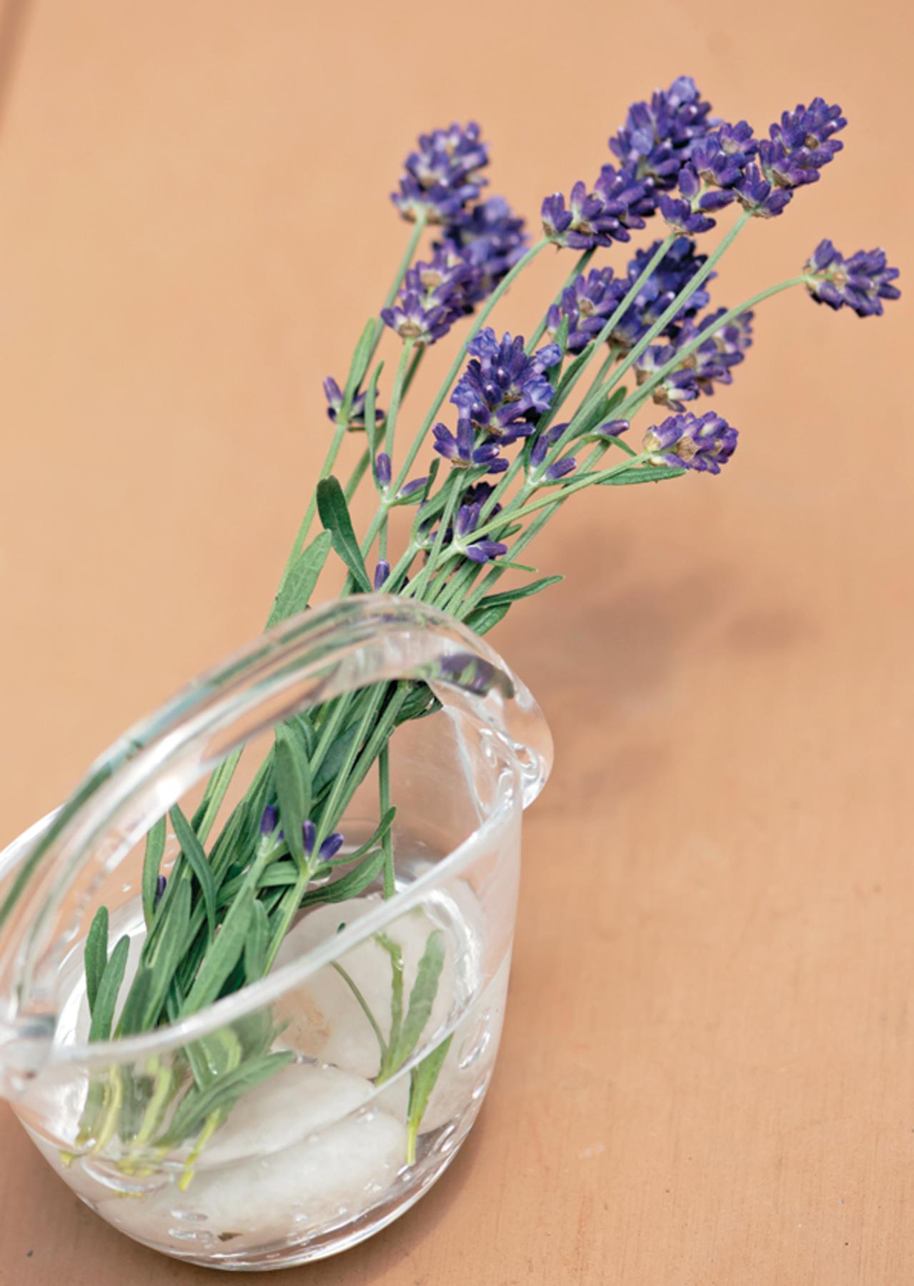 【ラベンダー】を長く元気に育てるための日々の管理方法とは？（画像13）
