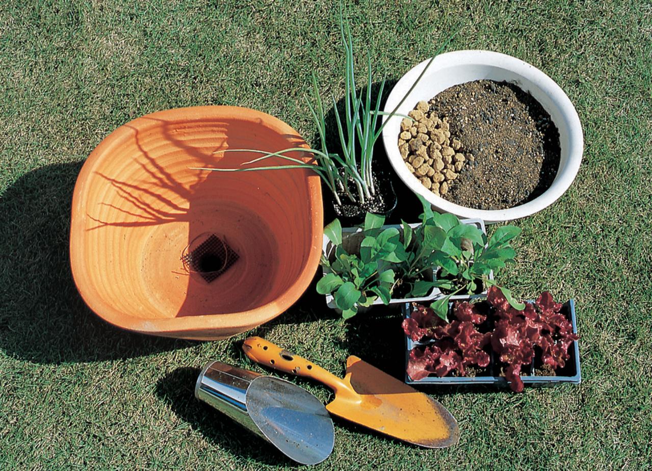 ベランダで始める【春のハーブ栽培入門】プランター・土・肥料の選び方、寄せ植えの方法は？（画像8）