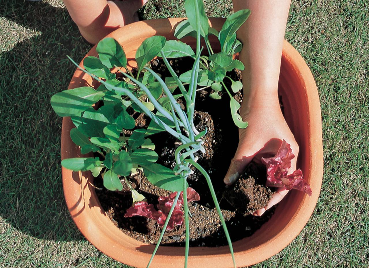 ベランダで始める【春のハーブ栽培入門】プランター・土・肥料の選び方、寄せ植えの方法は？（画像12）