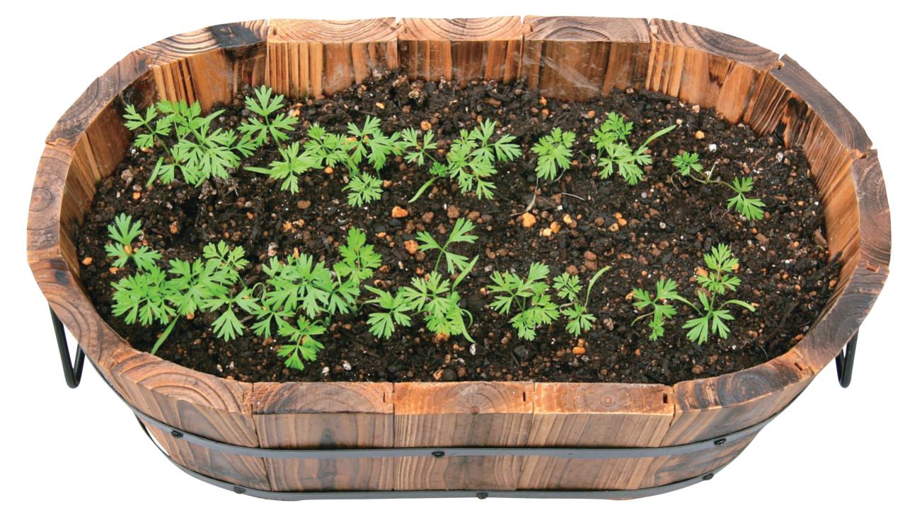 ベランダで始める【春のハーブ栽培入門】プランター・土・肥料の選び方、寄せ植えの方法は？（画像4）