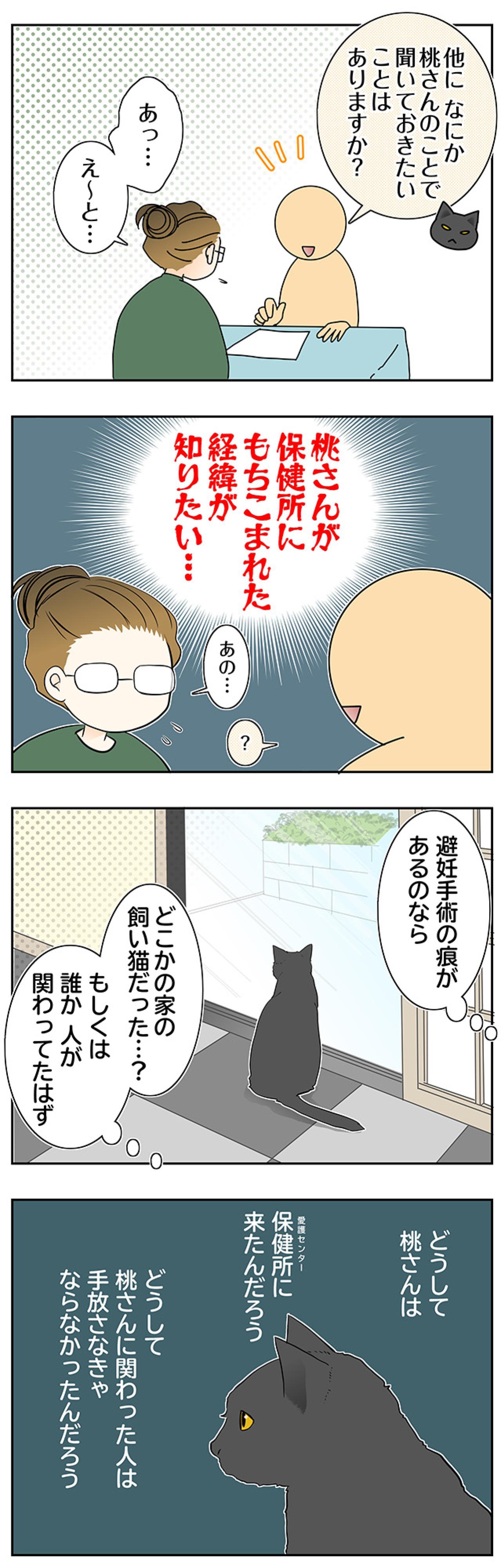 【マンガ・老猫日誌＃81】桃姐の過去が知りたい〜思い出の老猫日誌・桃姐と小論（画像2）