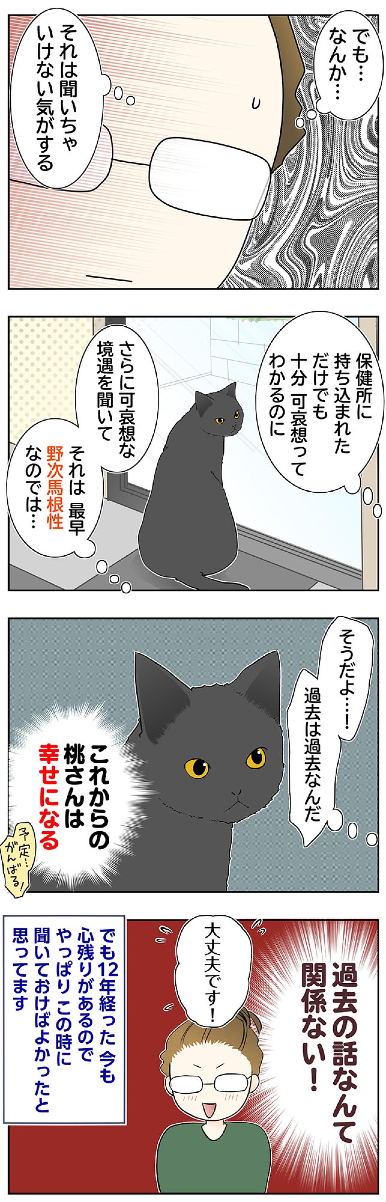【マンガ・老猫日誌＃82】桃姐の過去を聞かなかったワケ〜思い出の老猫日誌・桃姐と小論（画像2）