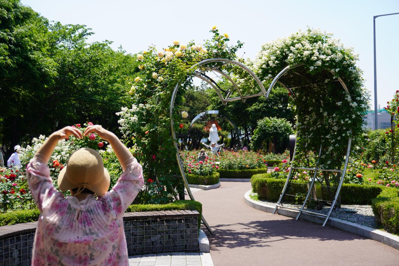 韓国最大級「中浪ソウル バラ祭り」を現地レポート！1000万本のバラと5.45kmの絶景トンネルに感動（画像15）