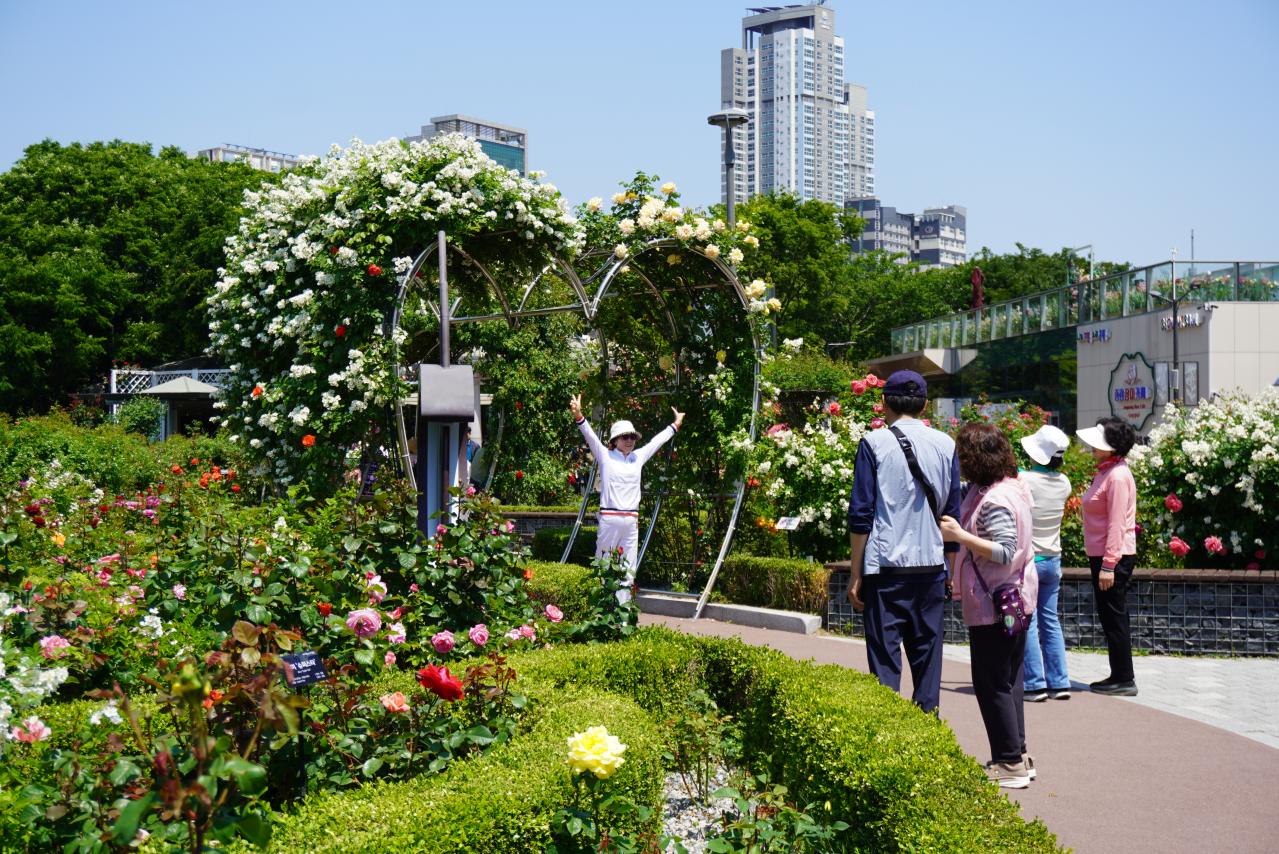 韓国最大級「中浪ソウル バラ祭り」を現地レポート！1000万本のバラと5.45kmの絶景トンネルに感動（画像17）