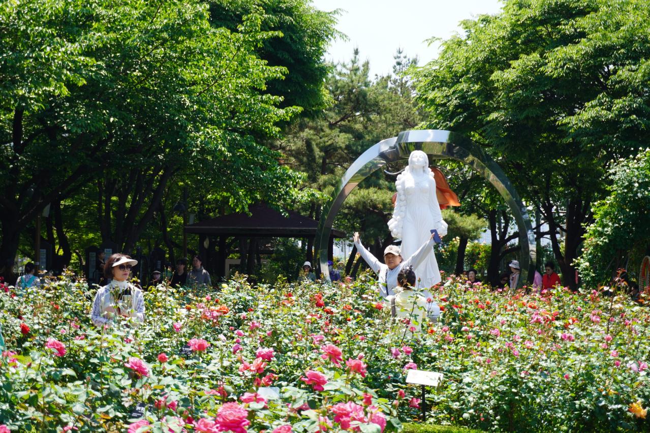 韓国最大級「中浪ソウル バラ祭り」を現地レポート！1000万本のバラと5.45kmの絶景トンネルに感動（画像16）