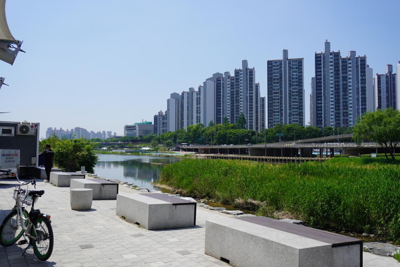 韓国最大級「中浪ソウル バラ祭り」を現地レポート！1000万本のバラと5.45kmの絶景トンネルに感動（画像10）