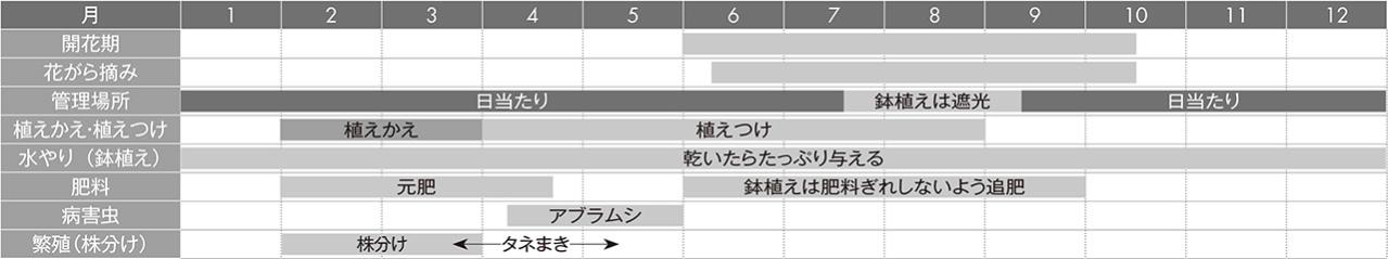 【ガーデニングQ&A】キキョウの花を翌年もきれいに咲かせるには？（画像5）