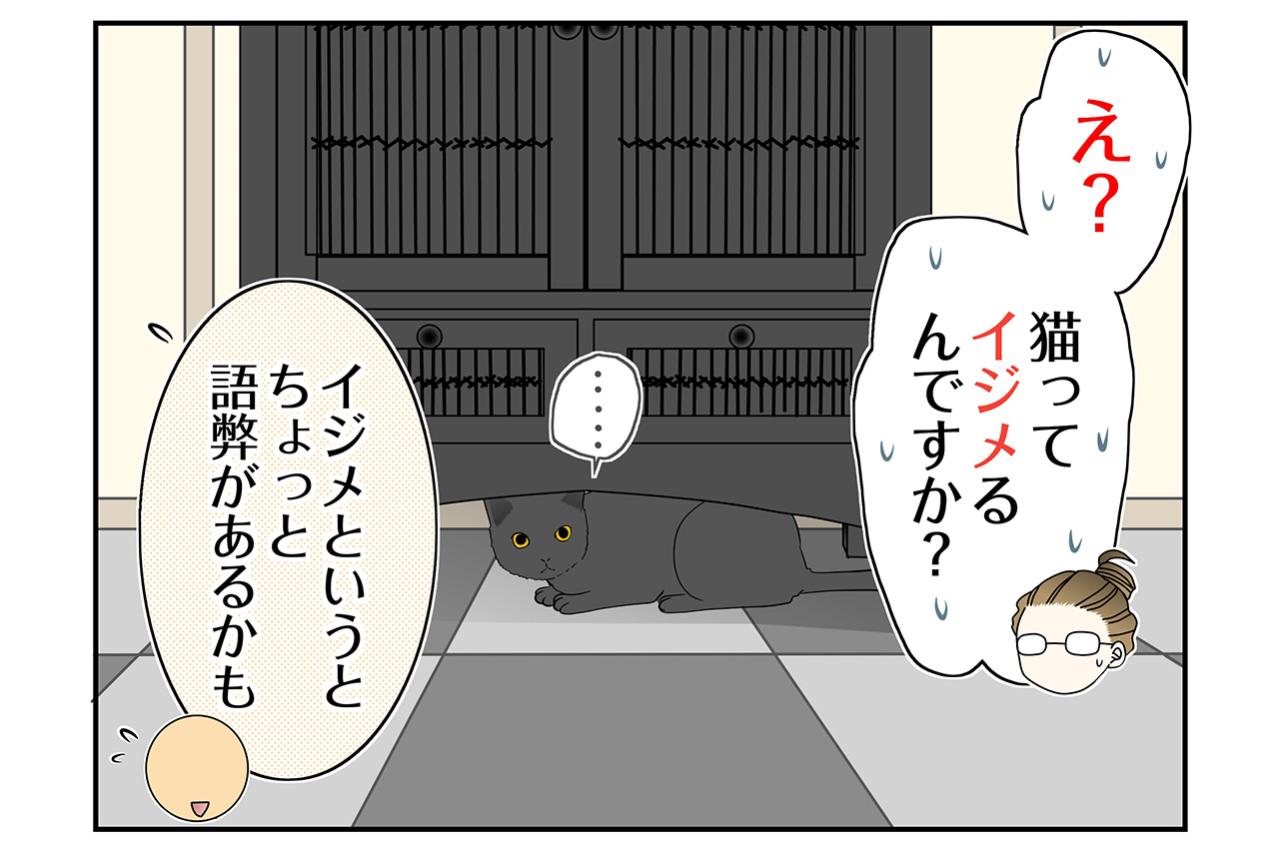 【マンガ・老猫日誌＃79】保護先での桃姐の様子〜思い出の老猫日誌・桃姐と小論
