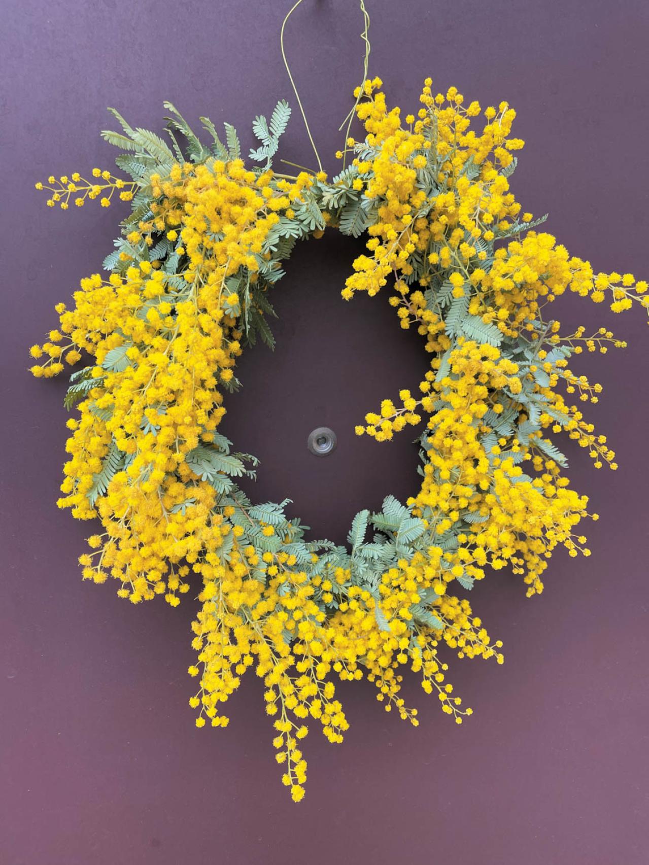 読者の【推し花写真】11選：庭のバラから月下美人、桜までスマホに残した一枚（画像7）