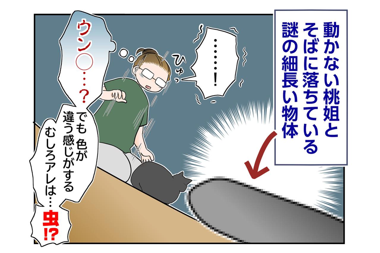 【マンガ・老猫日誌＃94】桃姐のそばにあった意外なもの〜思い出の老猫日誌・桃姐と小論