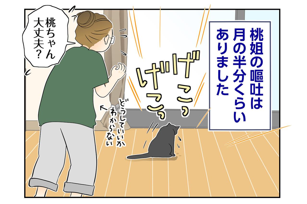 【マンガ・老猫日誌＃96】桃姐の嘔吐が止まらない〜思い出の老猫日誌・桃姐と小論
