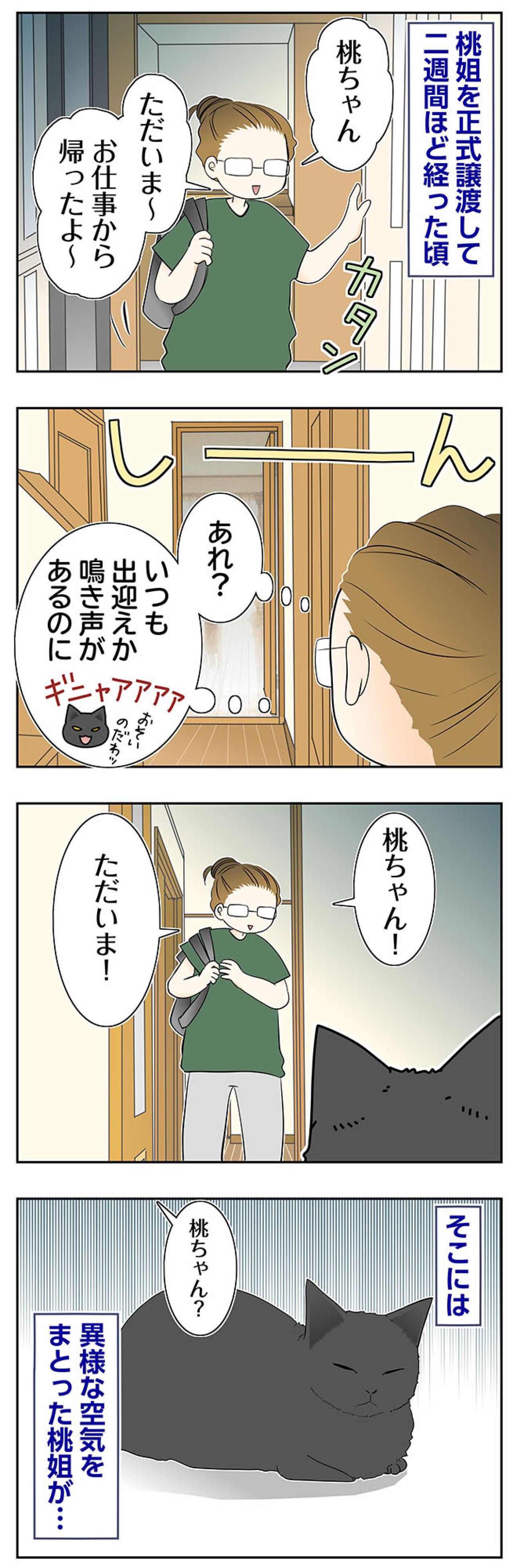 【マンガ・老猫日誌＃92】ある日。異様な空気をまとった桃姐〜思い出の老猫日誌・桃姐と小論（画像2）