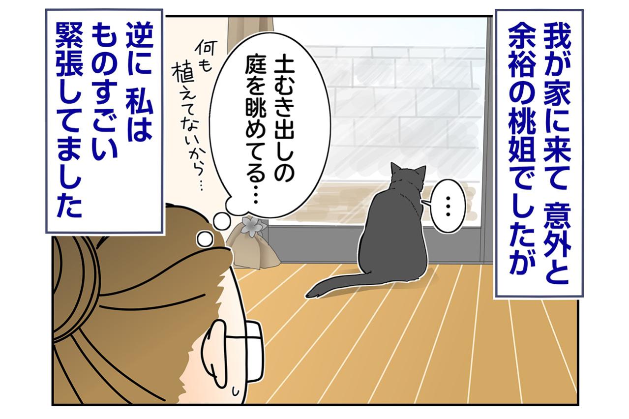 【マンガ・老猫日誌＃84】馴染む桃姐と緊張する私〜思い出の老猫日誌・桃姐と小論
