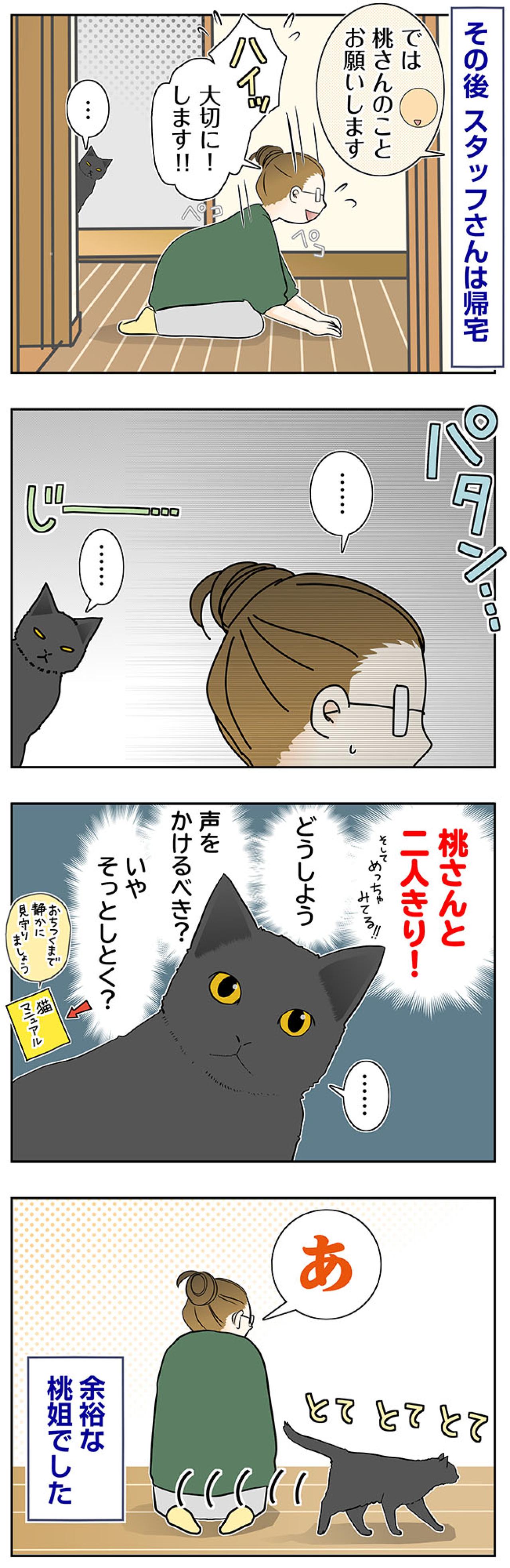 【マンガ・老猫日誌＃83】桃さんと2人？桃姐の意外な反応は？〜思い出の老猫日誌・桃姐と小論（画像2）