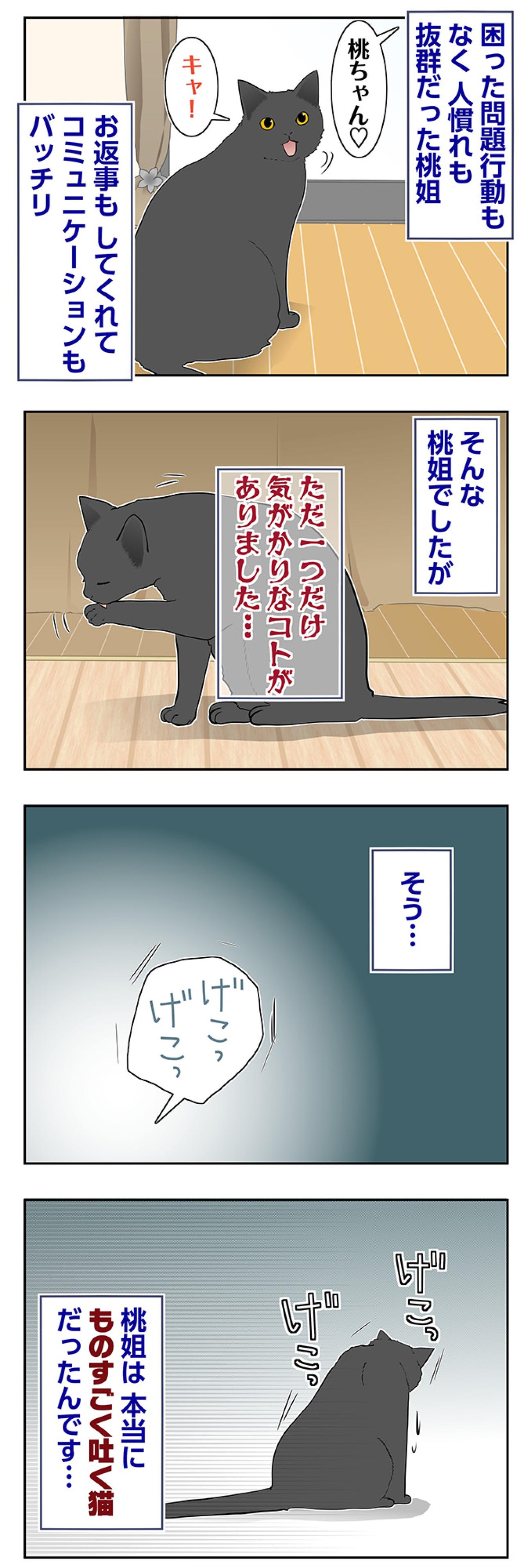 【マンガ・老猫日誌＃90】一つだけ気がかりだったコト〜思い出の老猫日誌・桃姐と小論（画像2）