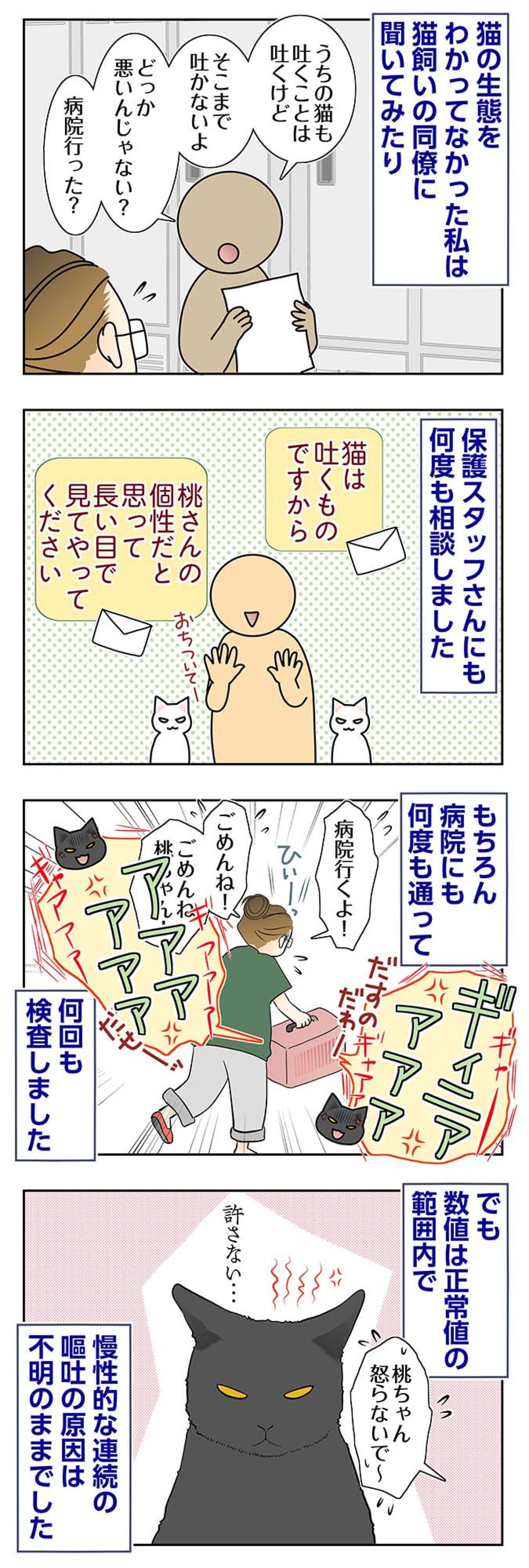 【マンガ・老猫日誌＃97】吐いてばかりの桃姐…病院にも相談〜思い出の老猫日誌・桃姐と小論（画像2）