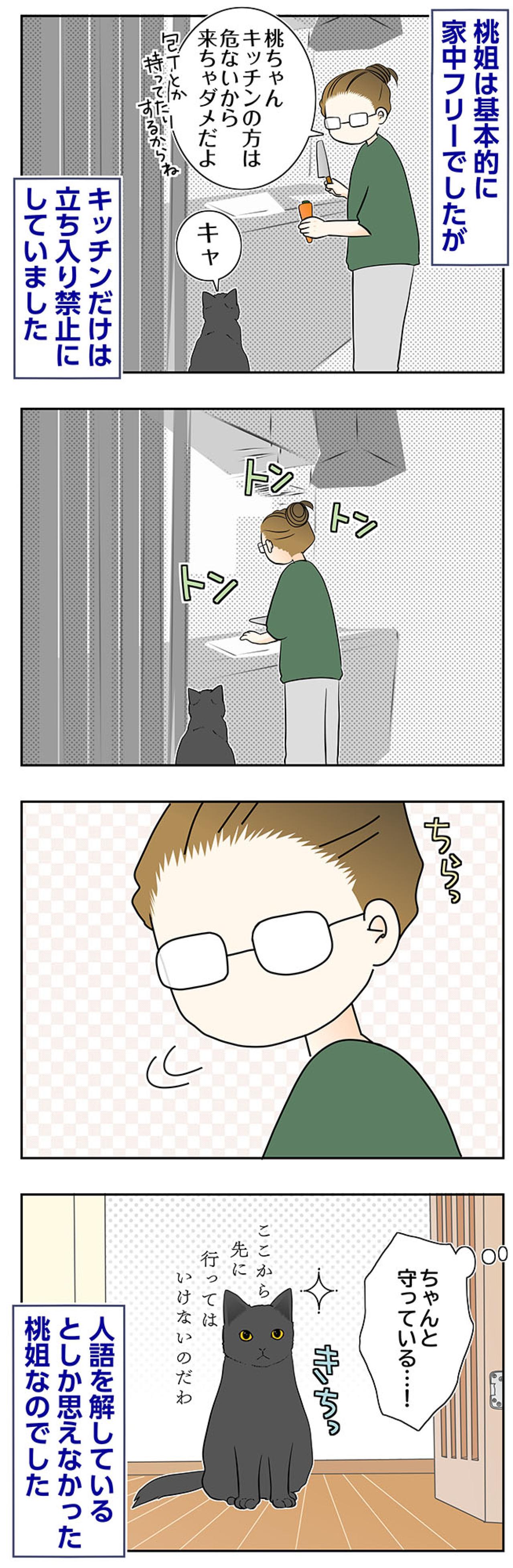 【マンガ・老猫日誌＃86】桃姐、人の言葉がわかるの？〜思い出の老猫日誌・桃姐と小論（画像2）