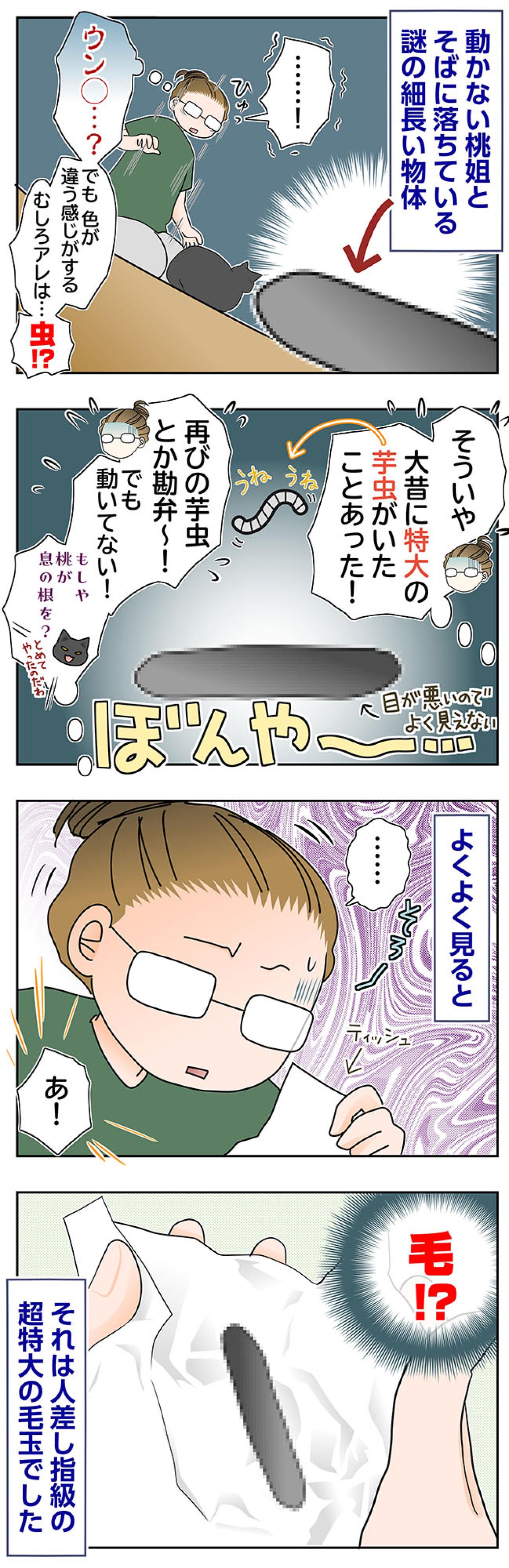 【マンガ・老猫日誌＃94】桃姐のそばにあった意外なもの〜思い出の老猫日誌・桃姐と小論（画像2）
