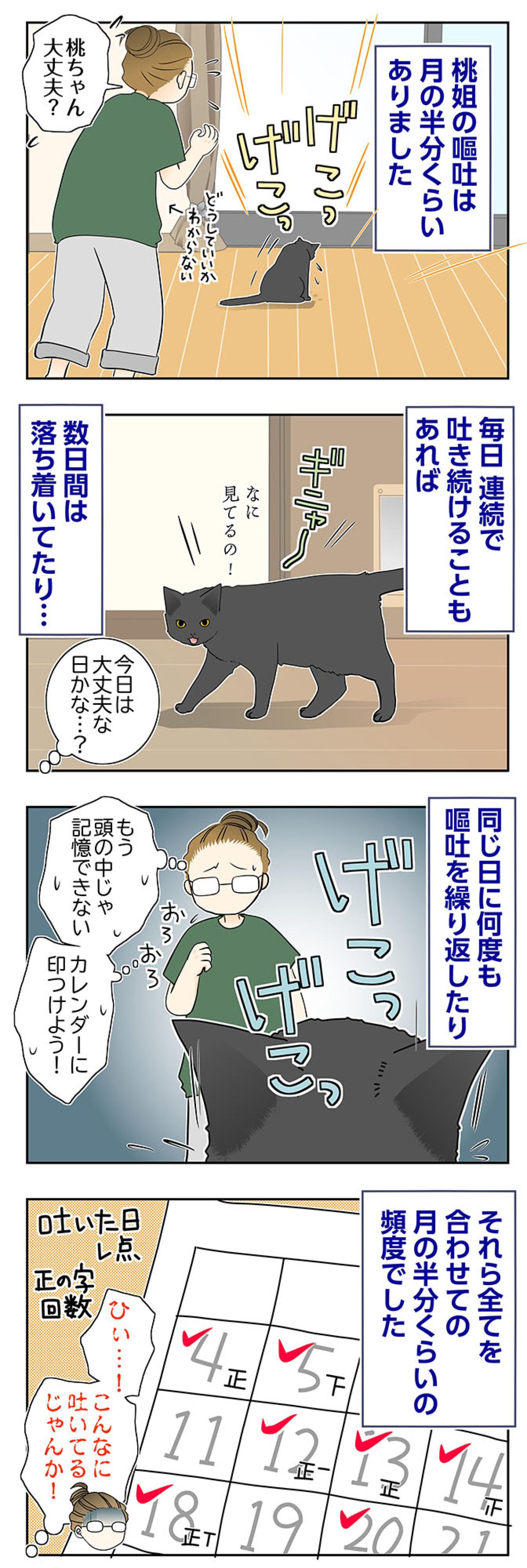 【マンガ・老猫日誌＃96】桃姐の嘔吐が止まらない〜思い出の老猫日誌・桃姐と小論（画像2）