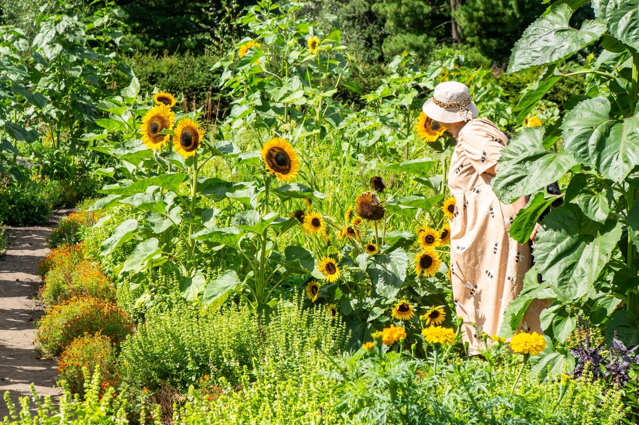 花を並べてもまとまらない…を解決！「高低差」で庭・ベランダを立体的に見せる5つのコツ（画像2）