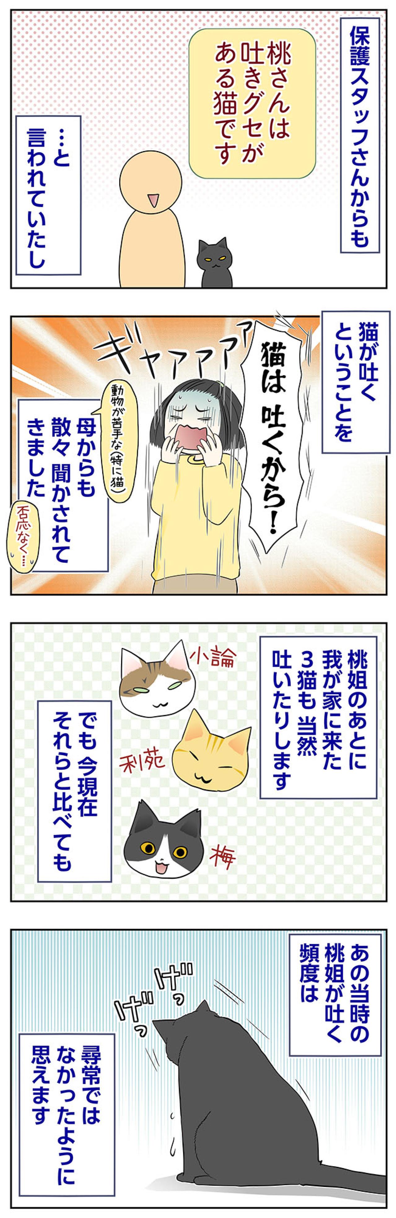 【マンガ・老猫日誌＃91】桃姐の吐く頻度が多かった頃〜思い出の老猫日誌・桃姐と小論（画像2）