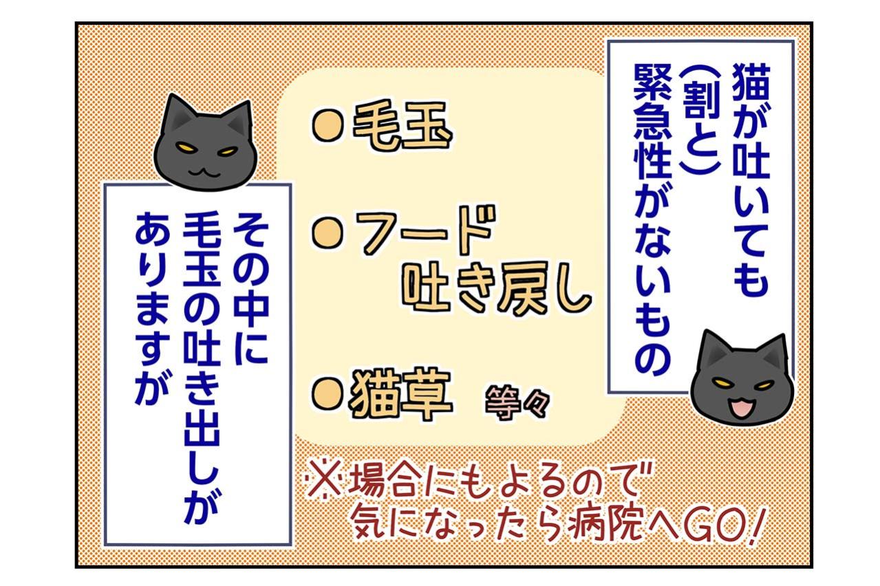 【マンガ・老猫日誌＃95】人生で初めて見た猫の毛玉吐き〜思い出の老猫日誌・桃姐と小論