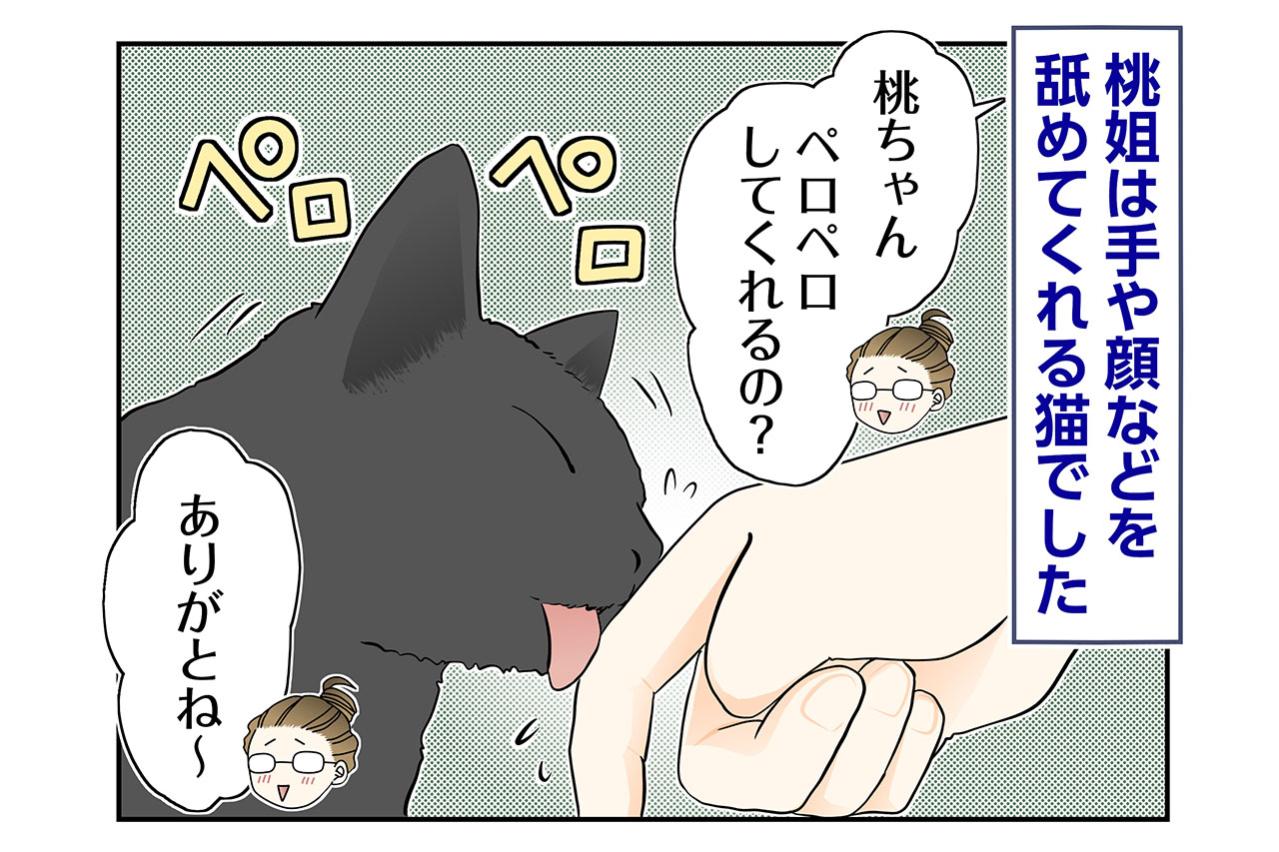 【マンガ・老猫日誌＃87】手荒れがいつまでも治らなかった理由〜思い出の老猫日誌・桃姐と小論