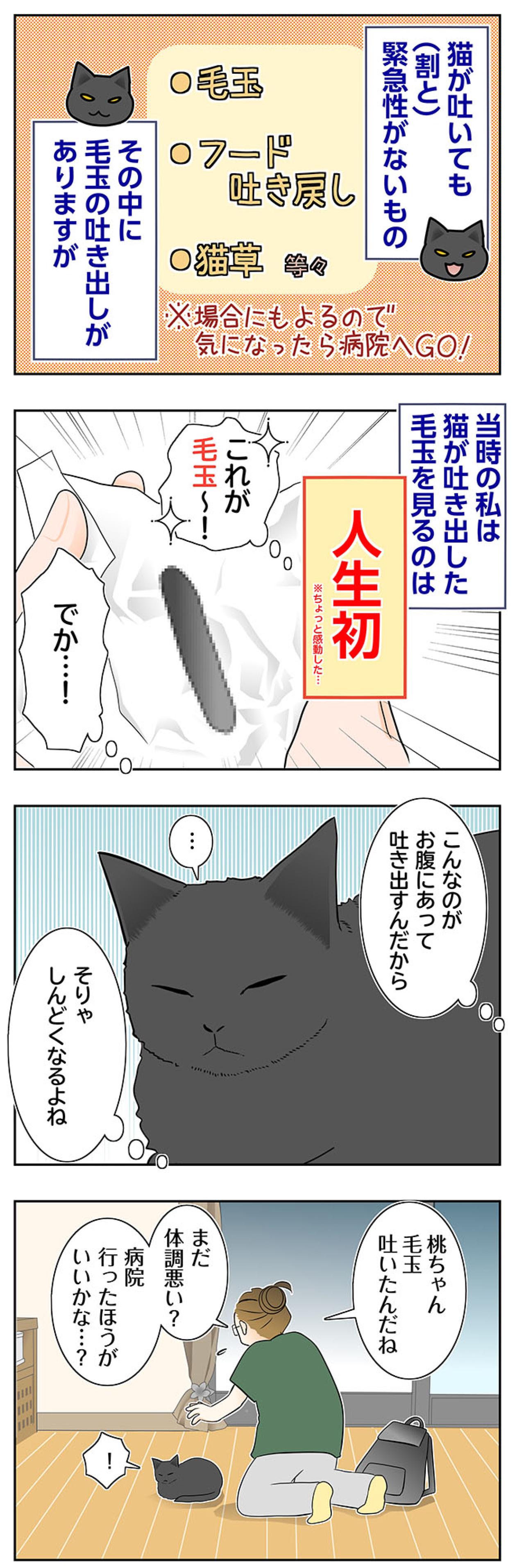 【マンガ・老猫日誌＃95】人生で初めて見た猫の毛玉吐き〜思い出の老猫日誌・桃姐と小論（画像2）
