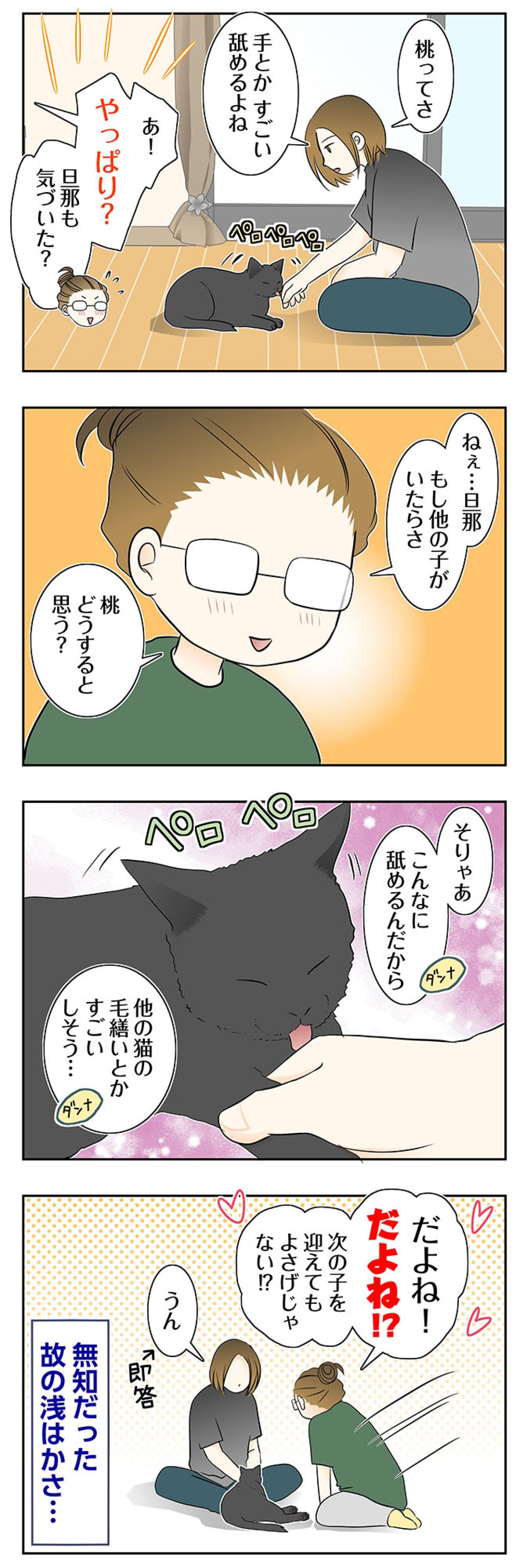 【マンガ・老猫日誌＃89】桃姐が心を開いてくれたから〜思い出の老猫日誌・桃姐と小論（画像2）