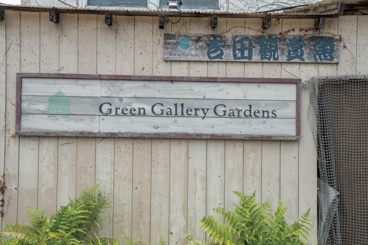 梅雨〜夏の【植物の夏越し】水やり・暑さ対策・風通しのポイントをおさえて、今年こそ植物を枯らさない！（画像17）