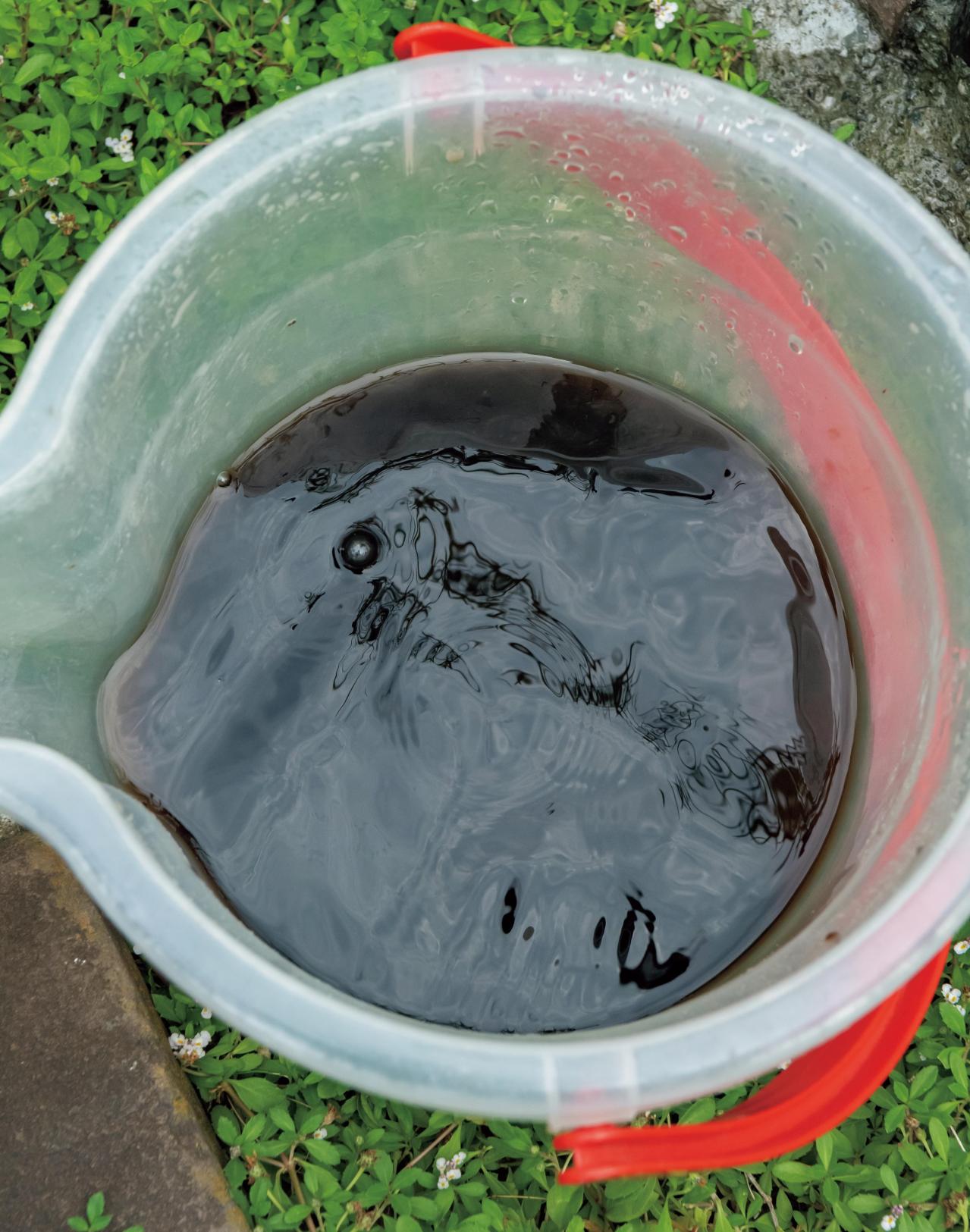 梅雨〜夏の【植物の夏越し】水やり・暑さ対策・風通しのポイントをおさえて、今年こそ植物を枯らさない！（画像10）