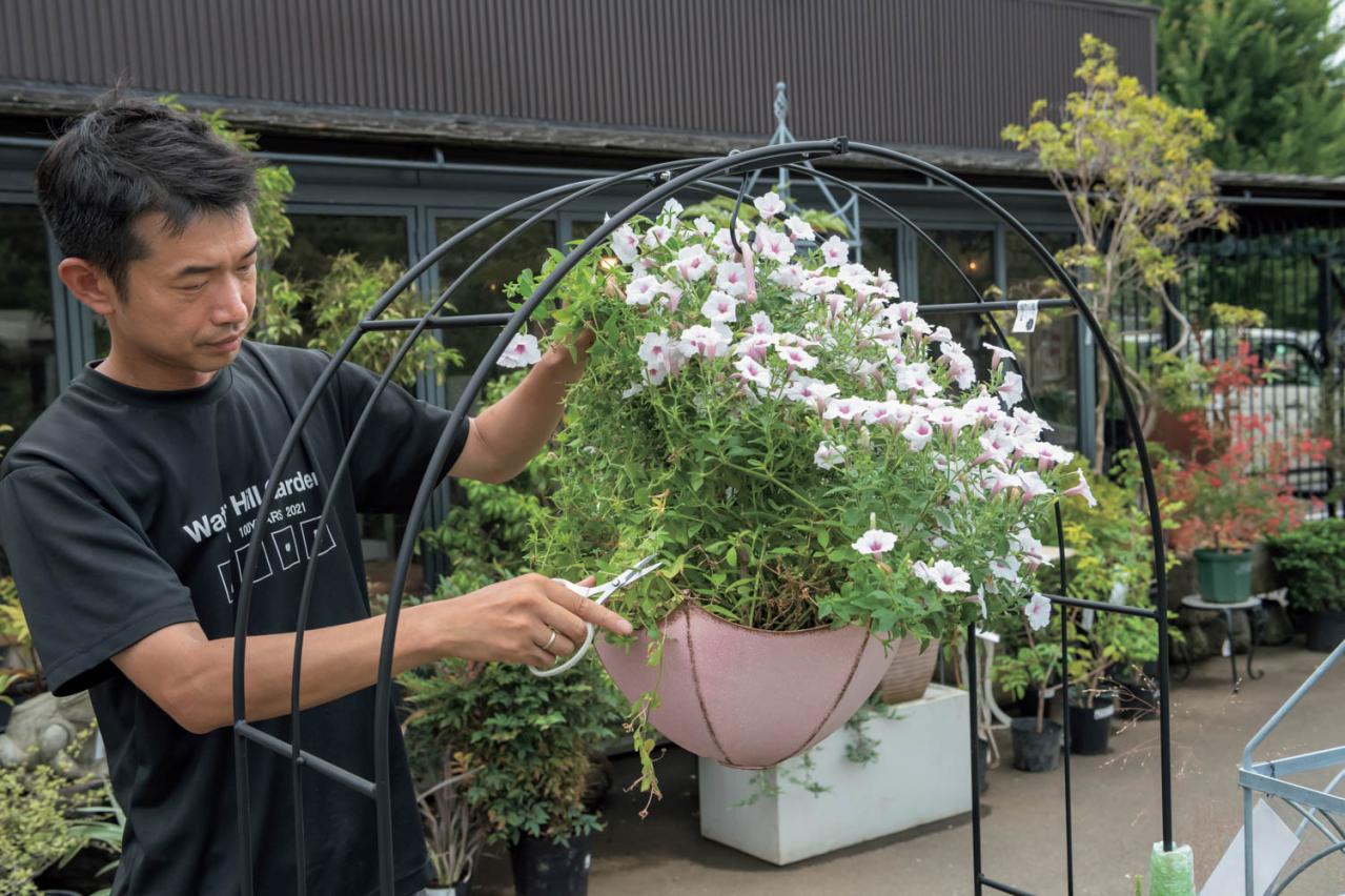 梅雨〜夏の【植物の夏越し】水やり・暑さ対策・風通しのポイントをおさえて、今年こそ植物を枯らさない！（画像5）